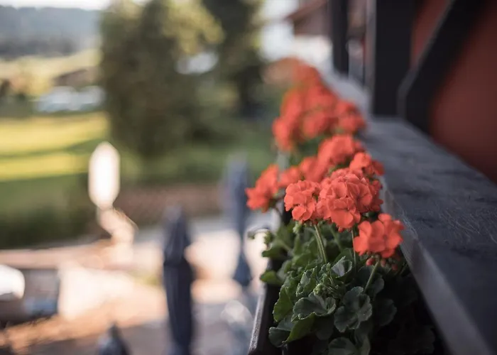 Mittelburg Wellnesshotel Hotel Oy-Mittelberg