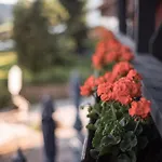 Mittelburg Wellnesshotel Hotel Oy-Mittelberg