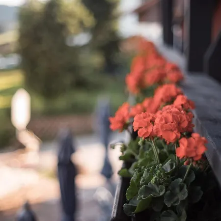 Mittelburg Wellnesshotel Hotel Oy-Mittelberg