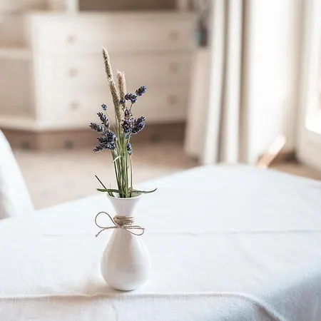 Mittelburg Wellnesshotel 4*