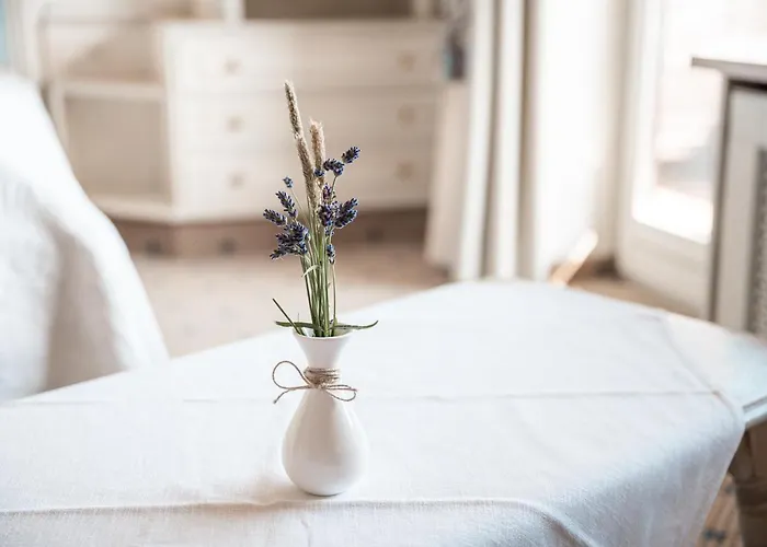Mittelburg Wellnesshotel 4*